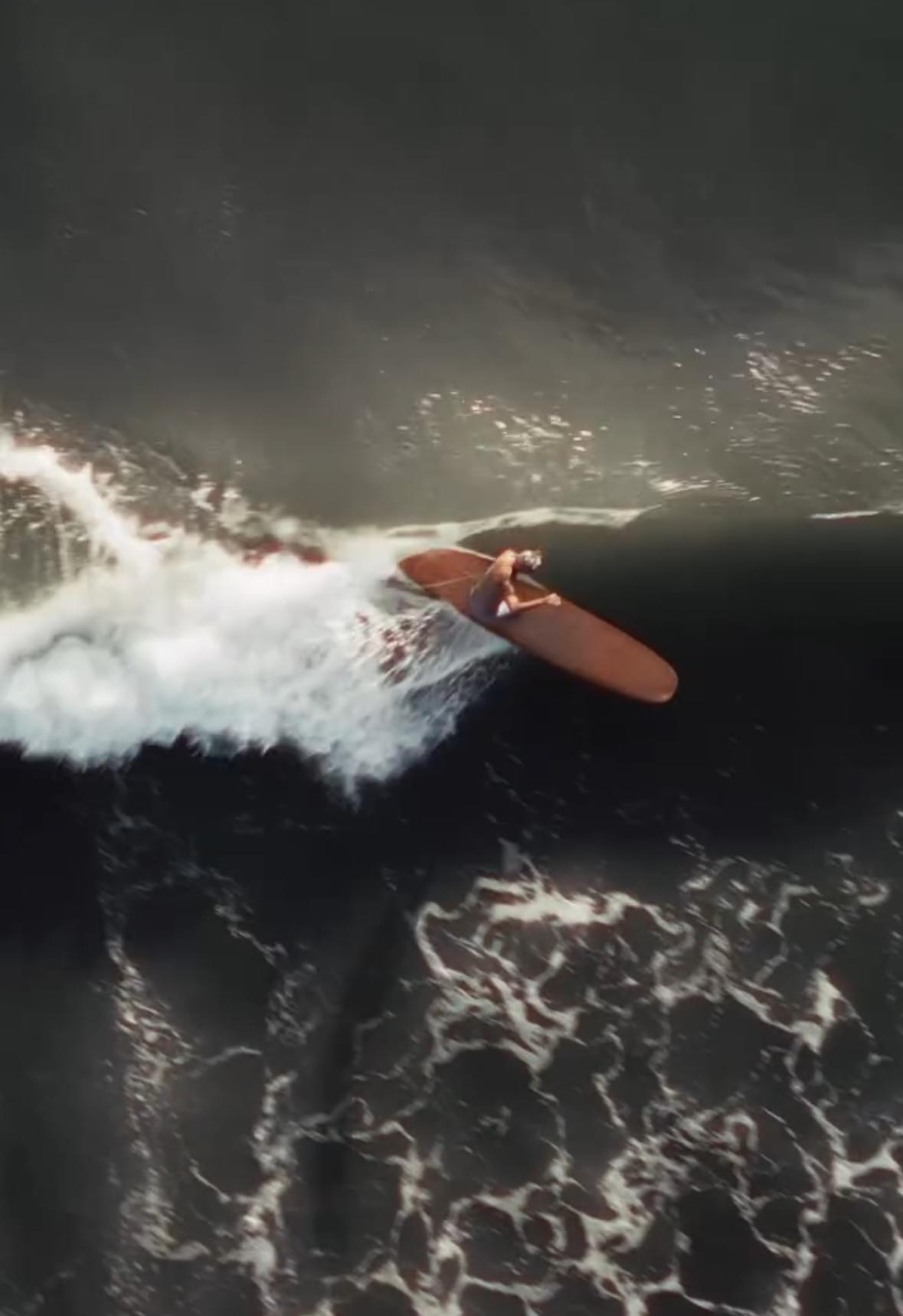 We capture every important moment, leaving precious memories for your event. activity photography Our service a professional business image team We capture every important moment, leaving precious memories for your event. activity photography Our service a professional business image team