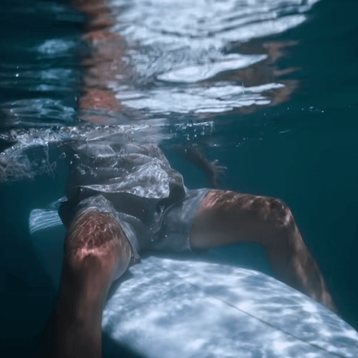 We capture every important moment, leaving precious memories for your event. activity photography Our service a professional business image team We capture every important moment, leaving precious memories for your event. activity photography Our service a professional business image team