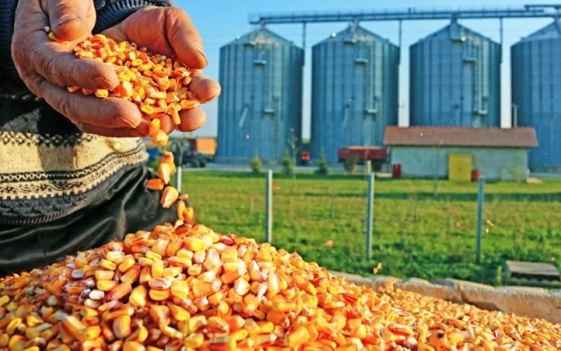 We offer consulting services to organizations looking to develop youth-focused programs that drive positive change. Consulting Services What We Do Log space , Home ,About us ,Programs ,CYA consulting ,Stores ,Our work ,Careers, Volunteer and a page will allow us link our videos on you tube and it has to be with modern features and based in uganda We offer consulting services to organizations looking to develop youth-focused programs that drive positive change. Consulting Services What We Do Log space , Home ,About us ,Programs ,CYA consulting ,Stores ,Our work ,Careers, Volunteer and a page will allow us link our videos on you tube and it has to be with modern features and based in uganda