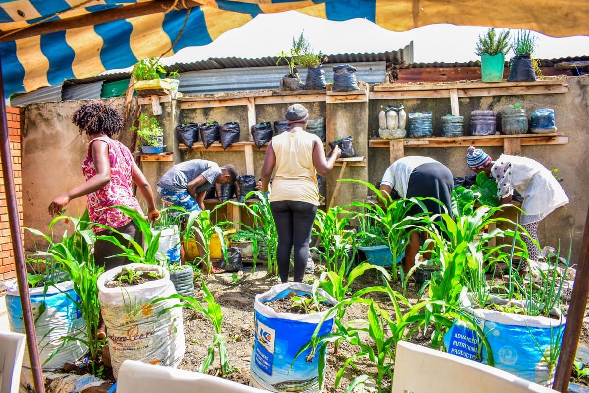 Our initiatives aim to connect youth with their communities, promoting social responsibility and active citizenship. Community Engagement What We Do Log space , Home ,About us ,Programs ,CYA consulting ,Stores ,Our work ,Careers, Volunteer and a page will allow us link our videos on you tube and it has to be with modern features and based in uganda Our initiatives aim to connect youth with their communities, promoting social responsibility and active citizenship. Community Engagement What We Do Log space , Home ,About us ,Programs ,CYA consulting ,Stores ,Our work ,Careers, Volunteer and a page will allow us link our videos on you tube and it has to be with modern features and based in uganda