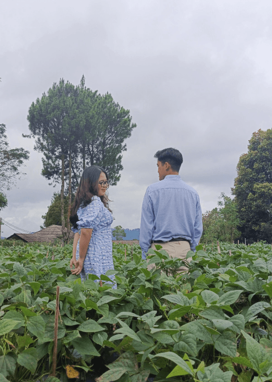 Foto Prewedding di kebun Foto Prewedding di kebun