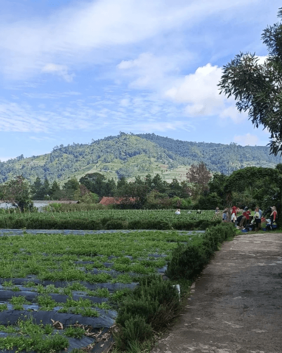 Gathering kantor di kebun Gathering kantor di kebun