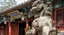 Our cultural exchange programs are designed to immerse participants in diverse traditions, fostering a greater appreciation of global perspectives. Through tailored experiences, we empower individuals to broaden their horizons and cultivate lasting connections across cultures. Cultural Exchange Programs What We Do Provide international education programs to facilitate mutual understanding of different cultures and races. Our cultural exchange programs are designed to immerse participants in diverse traditions, fostering a greater appreciation of global perspectives. Through tailored experiences, we empower individuals to broaden their horizons and cultivate lasting connections across cultures. Cultural Exchange Programs What We Do Provide international education programs to facilitate mutual understanding of different cultures and races.