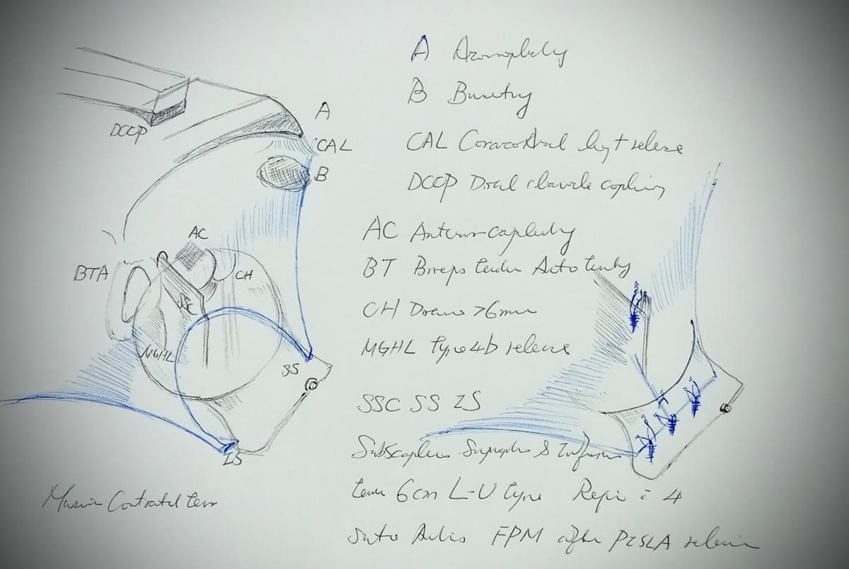 Section image