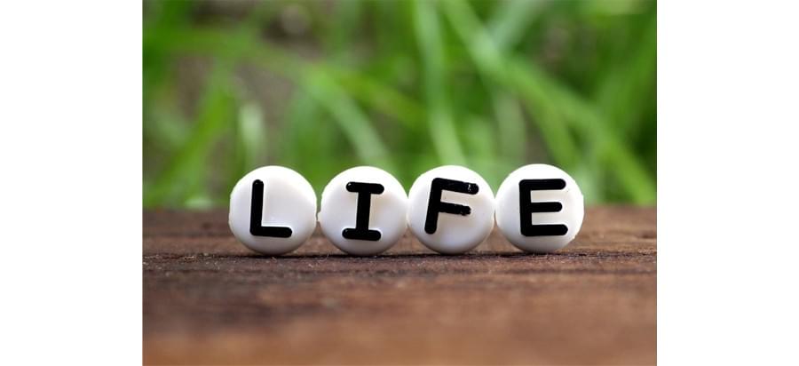 Daily Life Daily Life