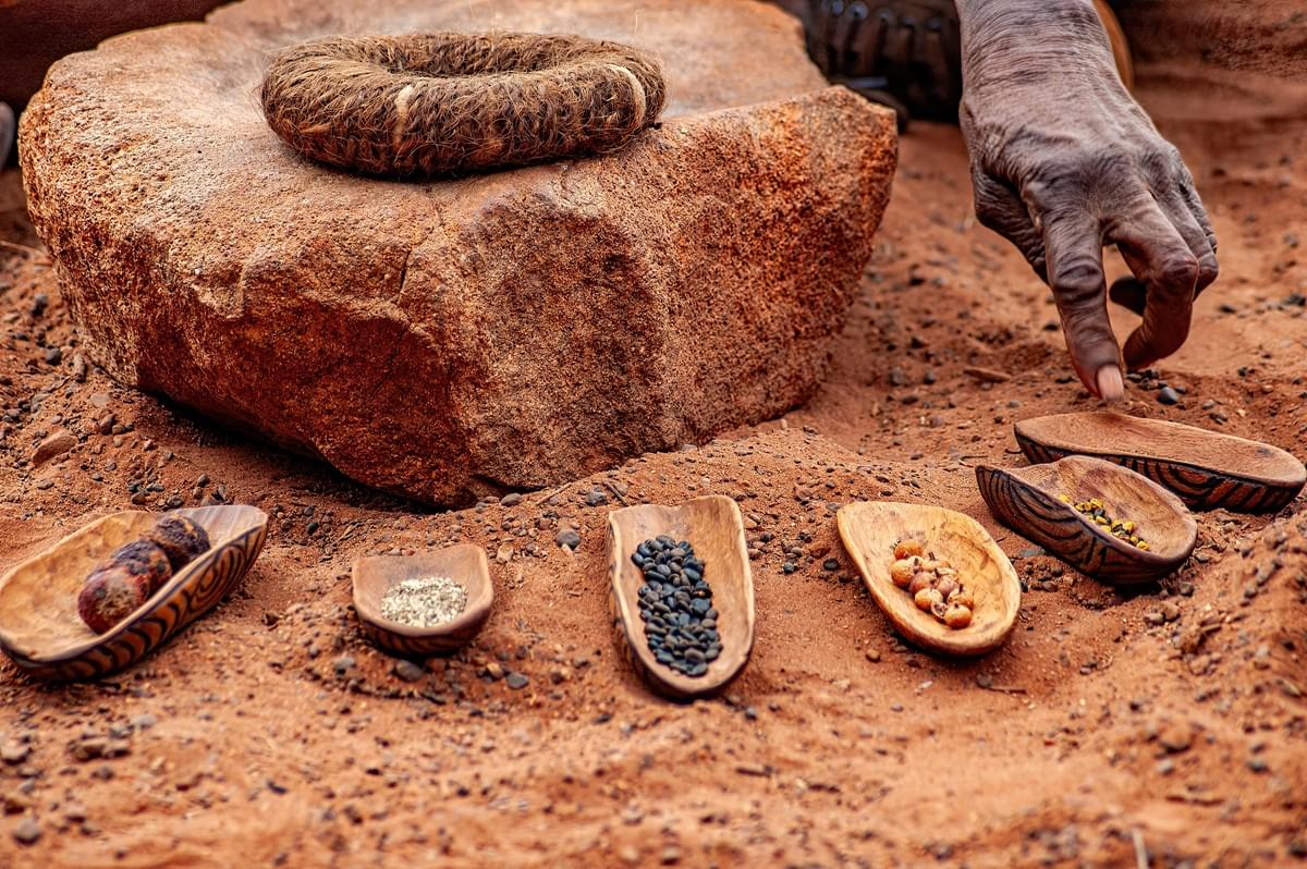 Photobooks By Women Indigenious seeds Photobooks By Women Indigenious seeds