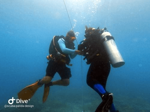 Instructeur (moi) accompagnant un élève à descendre avec un bout lors de la plongée 1 de l'Open Water. Nusa Penida. Instructeur (moi) accompagnant un élève à descendre avec un bout lors de la plongée 1 de l'Open Water. Nusa Penida.