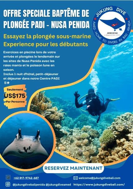 Retrouvez moi à Nusa Penida dans un cadre exeptionnel Retrouvez moi à Nusa Penida dans un cadre exeptionnel