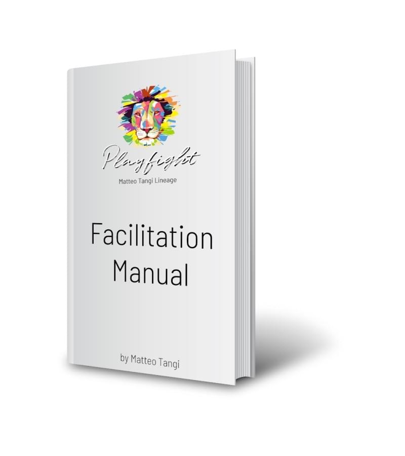 Playfight facilitation manual by Matteo Tangi Playfight facilitation manual by Matteo Tangi