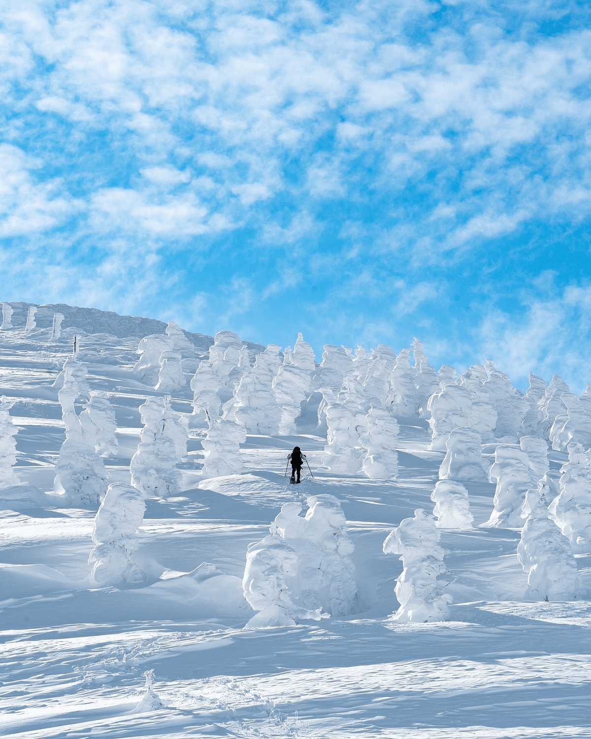 Zao Onsen Ski Resort snow monsters with skier in Yamagata, Japan Zao Onsen Ski Resort snow monsters with skier in Yamagata, Japan