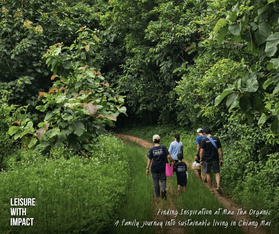isitors walk through the lush community forest at Mae Tha Organic, a community-based tourism destination in Chiang Mai promoting sustainable travel and forest conservation. isitors walk through the lush community forest at Mae Tha Organic, a community-based tourism destination in Chiang Mai promoting sustainable travel and forest conservation.