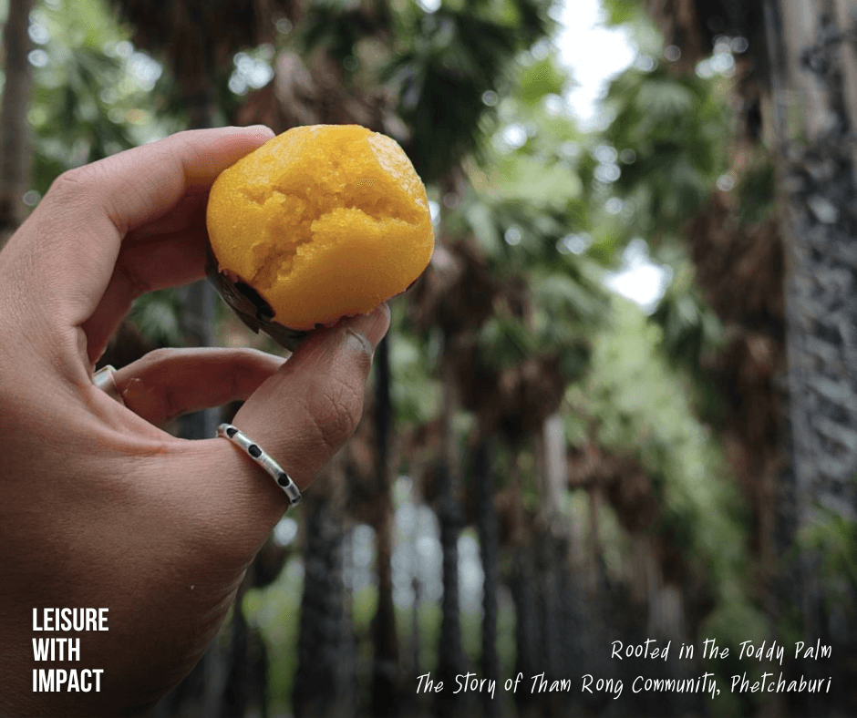 Traditional Khanom Tan (steamed toddy palm cake) made with fresh toddy palm fruit and palm sugar, with toddy palm trees in the background representing Phetchaburi's gastronomic heritage. Traditional Khanom Tan (steamed toddy palm cake) made with fresh toddy palm fruit and palm sugar, with toddy palm trees in the background representing Phetchaburi's gastronomic heritage.