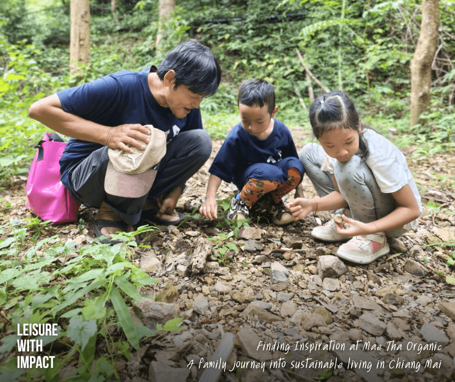 Tui from Andaman Discoveries leads children through the community forest at Mae Tha Organic to learn about biodiversity and local conservation. Tui from Andaman Discoveries leads children through the community forest at Mae Tha Organic to learn about biodiversity and local conservation.