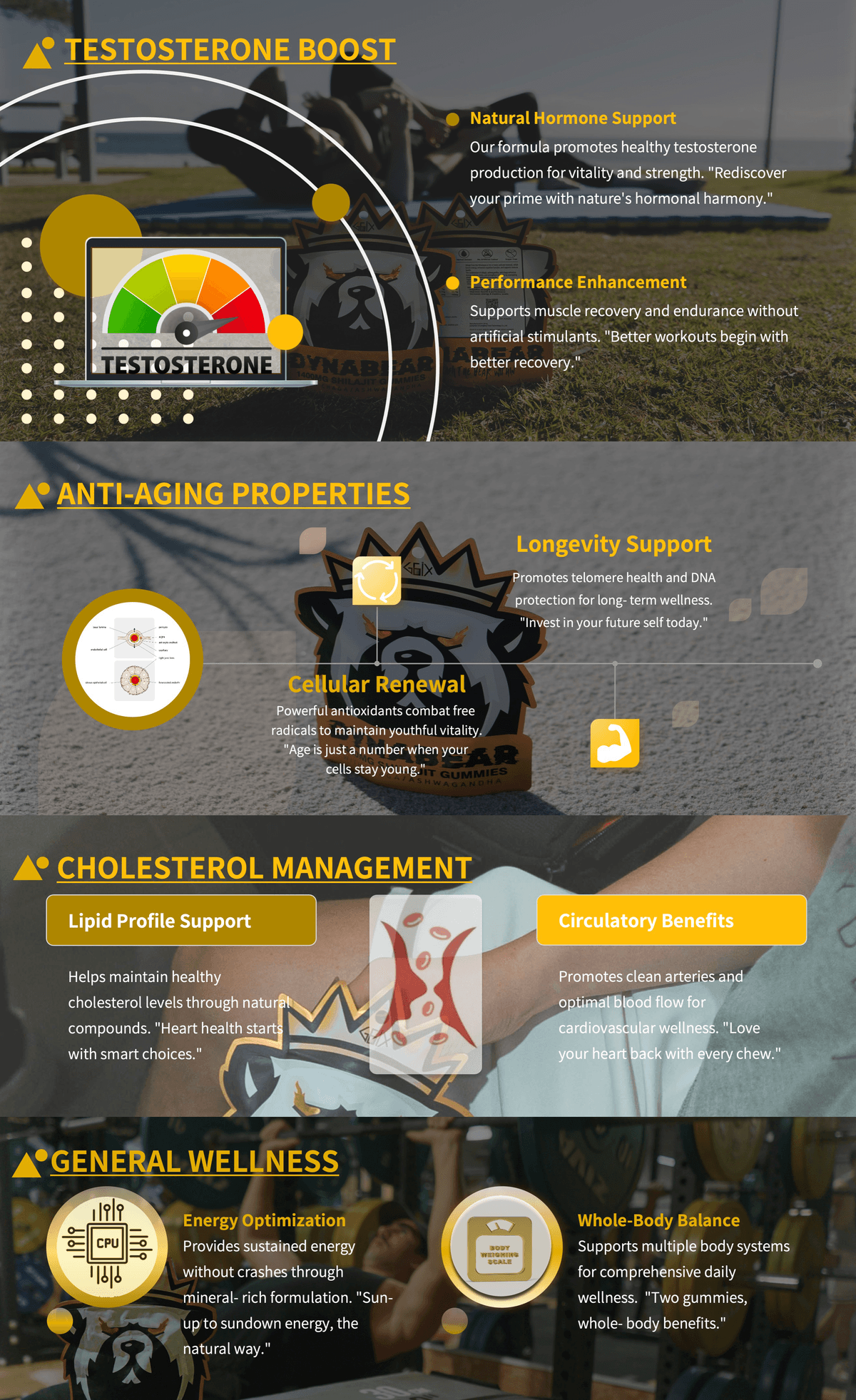 DYNABEAR SHILAJIT GUMMIES