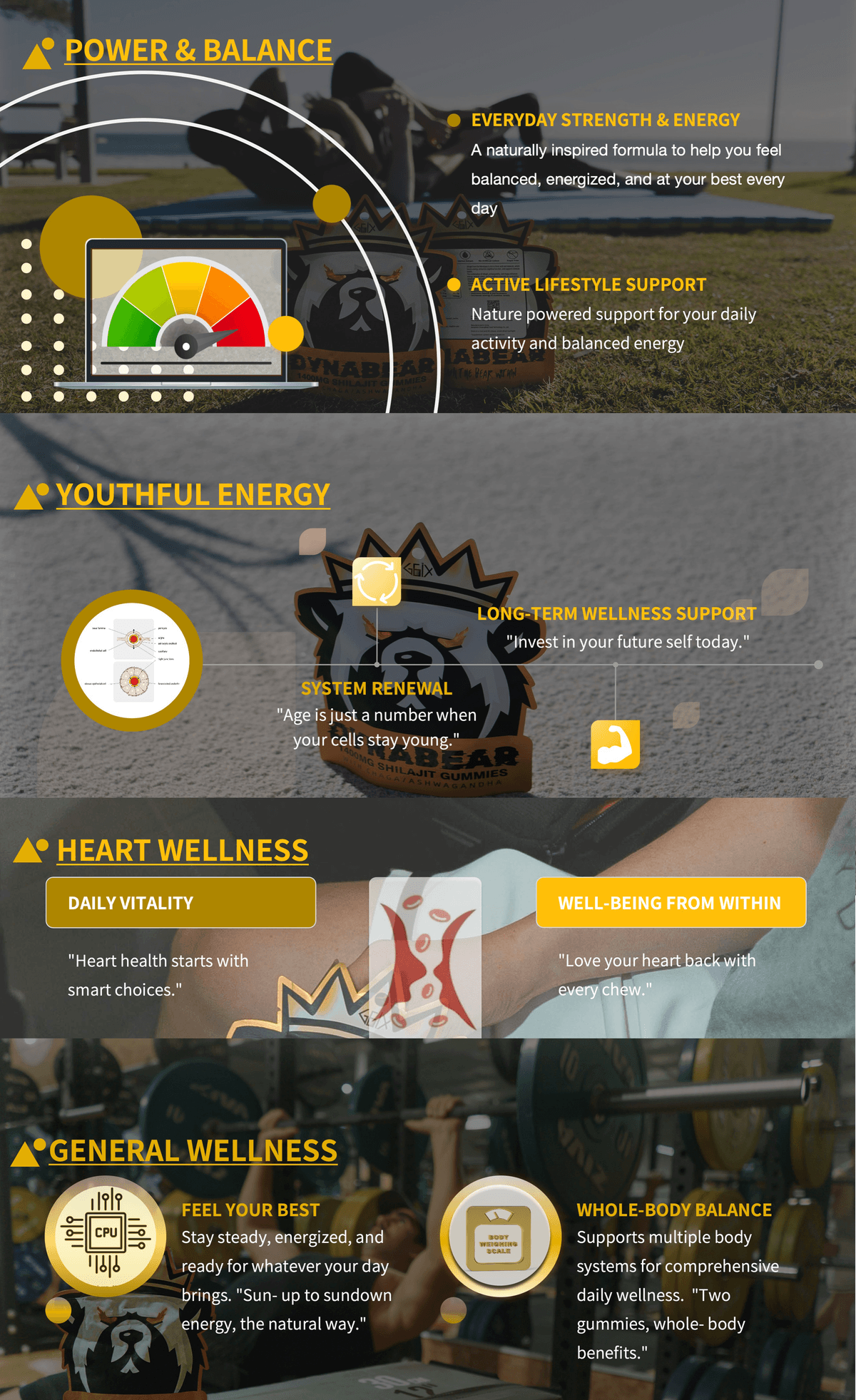 DYNABEAR SHILAJIT GUMMIES