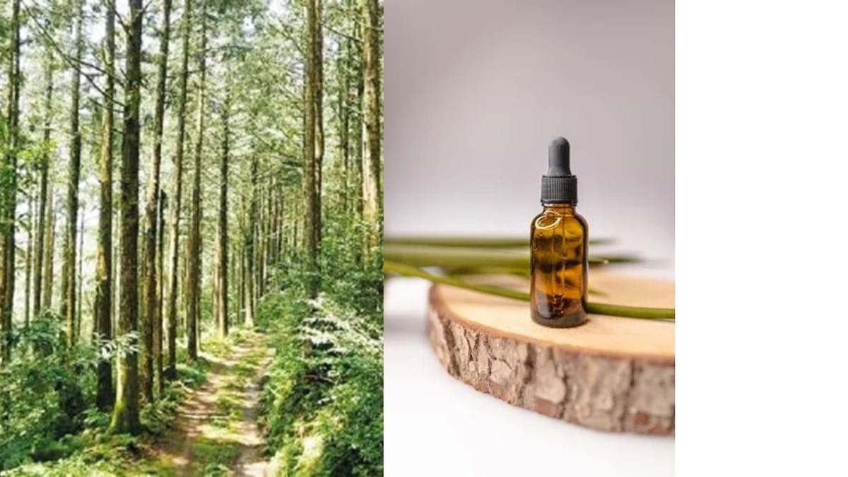 Our commitment to the environment is reflected in our sustainable sourcing and eco-friendly packaging. Commitment to Sustainability What We Offer perfece skin Our commitment to the environment is reflected in our sustainable sourcing and eco-friendly packaging. Commitment to Sustainability What We Offer perfece skin