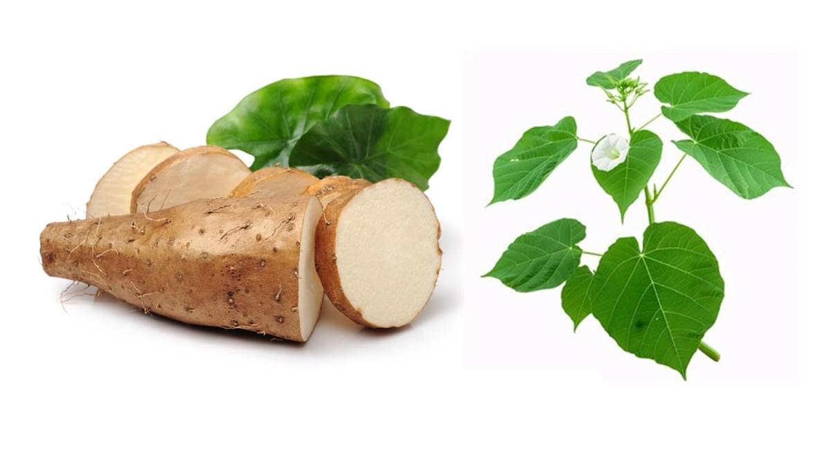 Our commitment to the environment is reflected in our sustainable sourcing and eco-friendly packaging. Commitment to Sustainability What We Offer perfece skin Our commitment to the environment is reflected in our sustainable sourcing and eco-friendly packaging. Commitment to Sustainability What We Offer perfece skin