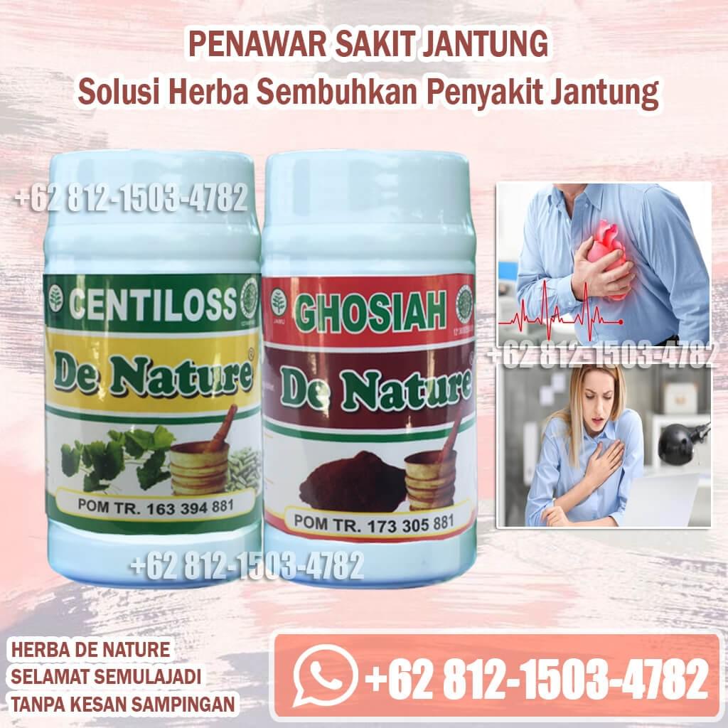 Ubat Ubat Jantung Laju Paling Mujarab Herba Tanpa Kesan Sampingan Selamat Ubat Ubat Jantung Laju Paling Mujarab Herba Tanpa Kesan Sampingan Selamat