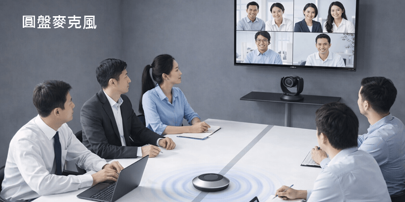 圓盤麥克風示意圖 圓盤麥克風示意圖