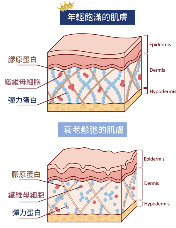 Professional medical beauty, show confidence's beauty Please create a one-page official website for a Hong Kong medical beauty brand.
Brand Name: Dr.Afterhour
Brand Subtitle: Afternoon Care Center
Brand Type: Medical Beauty Center
Website Language: Mainly Traditional Chinese, treatment names can be kept in English.
Target Audience: Women in Hong Kong aged 25–50 who focus on anti-aging, contour enhancement, skin quality improvement, and body management.
Please establish the following sections:
1. Hero Banner
2. About Brand Introduction
3. Treatments Categories
4. Featured Treatments
5. Why Choose Us
6. Consultation CTA
7. Contact Us
Main website goal:
Build a high-end medical aesthetic brand image, clearly display treatment categories, and guide customers to WhatsApp for inquiries and appointment assessments. Professional medical beauty, show confidence's beauty Please create a one-page official website for a Hong Kong medical beauty brand.
Brand Name: Dr.Afterhour
Brand Subtitle: Afternoon Care Center
Brand Type: Medical Beauty Center
Website Language: Mainly Traditional Chinese, treatment names can be kept in English.
Target Audience: Women in Hong Kong aged 25–50 who focus on anti-aging, contour enhancement, skin quality improvement, and body management.
Please establish the following sections:
1. Hero Banner
2. About Brand Introduction
3. Treatments Categories
4. Featured Treatments
5. Why Choose Us
6. Consultation CTA
7. Contact Us
Main website goal:
Build a high-end medical aesthetic brand image, clearly display treatment categories, and guide customers to WhatsApp for inquiries and appointment assessments.
