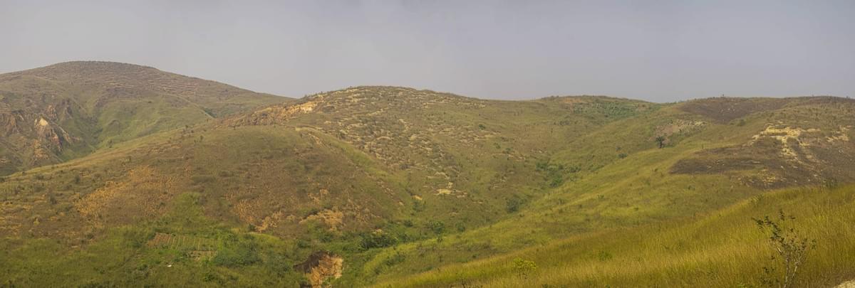 Section image