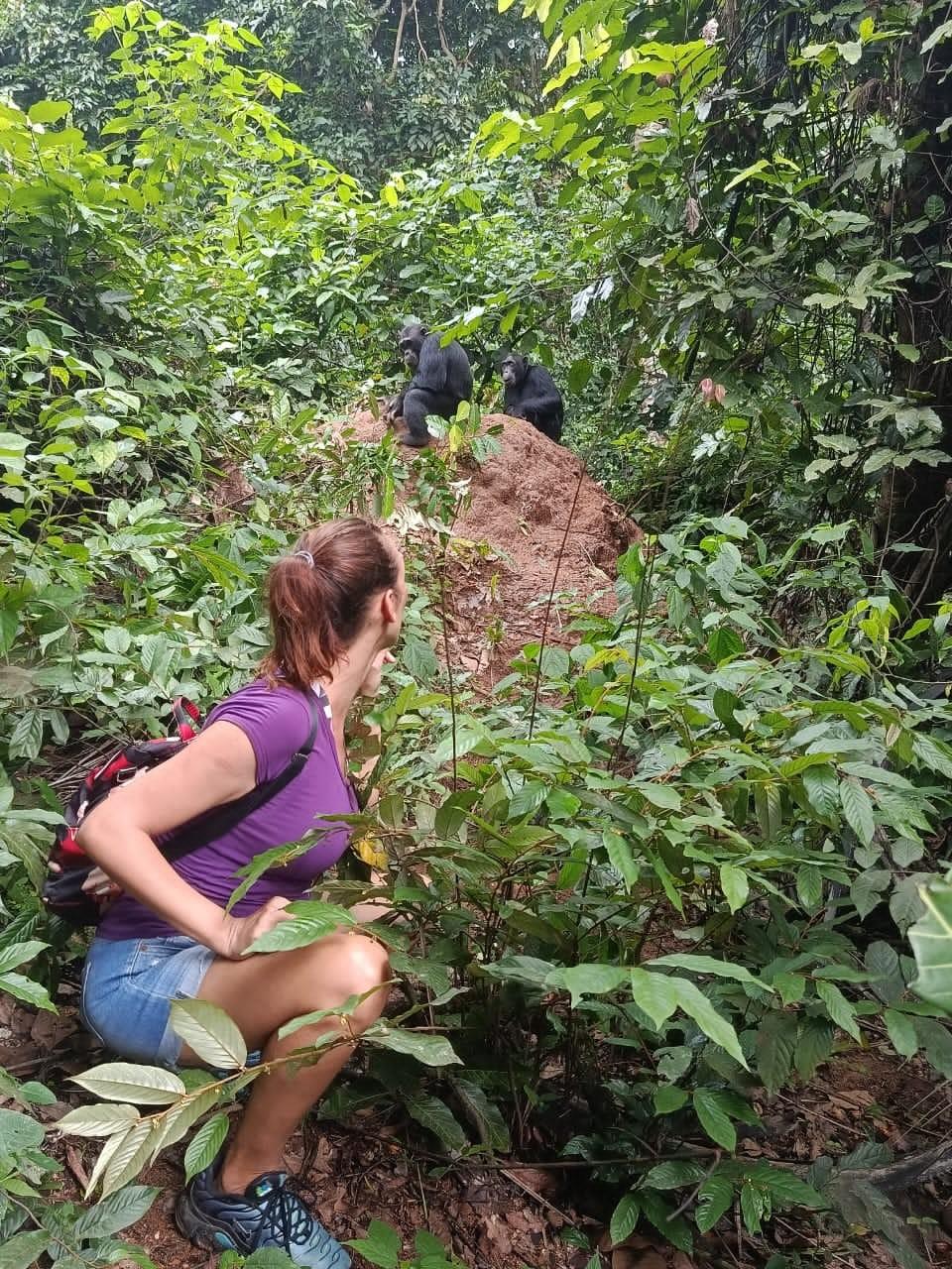 Section image