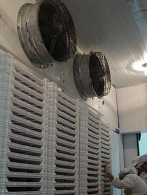 We offer comprehensive air conditioning services, from installation to maintenance and repair. Our skilled technicians ensure that your AC systems operate efficiently, providing you with the comfort you deserve throughout the year. Air Conditioning Services What We Do Contratistas de refrigeración , ventilación y aire acondicionado We offer comprehensive air conditioning services, from installation to maintenance and repair. Our skilled technicians ensure that your AC systems operate efficiently, providing you with the comfort you deserve throughout the year. Air Conditioning Services What We Do Contratistas de refrigeración , ventilación y aire acondicionado