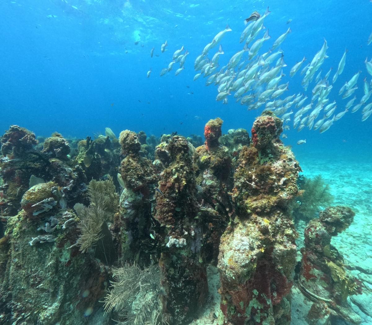 Japanese staff are stationed, and you can use it with peace of mind without worrying about the language barrier. Support in Japanese Our company's service This is a diving service run by Japanese people located in Cancun, a resort area in Mexico. Japanese staff are stationed, and you can use it with peace of mind without worrying about the language barrier. Support in Japanese Our company's service This is a diving service run by Japanese people located in Cancun, a resort area in Mexico.