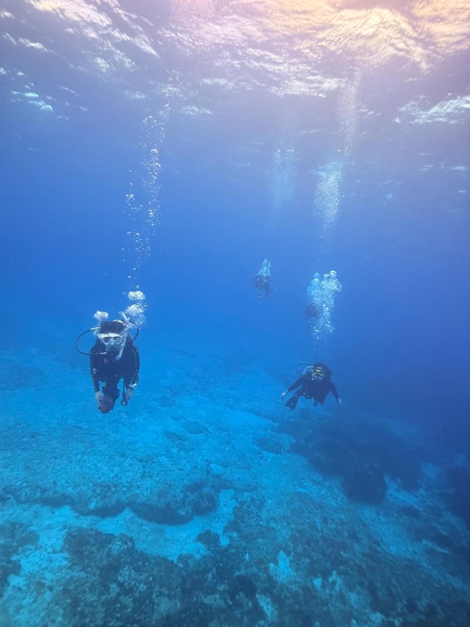 From beginners to advanced users, we have various diving plans available. You can choose the best plan to explore the beautiful underwater world. enriched diving plan Our company's service This is a diving service run by Japanese people located in Cancun, a resort area in Mexico. From beginners to advanced users, we have various diving plans available. You can choose the best plan to explore the beautiful underwater world. enriched diving plan Our company's service This is a diving service run by Japanese people located in Cancun, a resort area in Mexico.