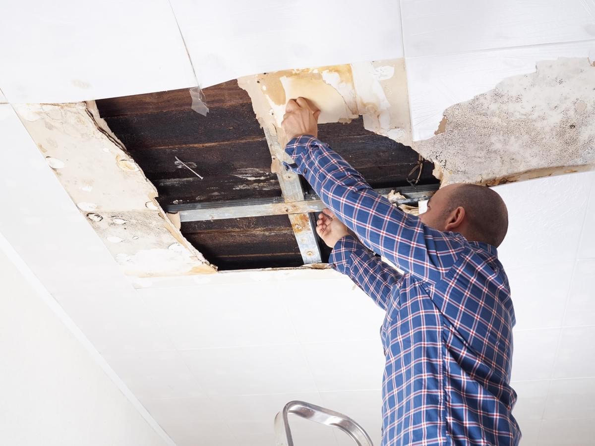 water damage repair Oceanside water damage repair Oceanside