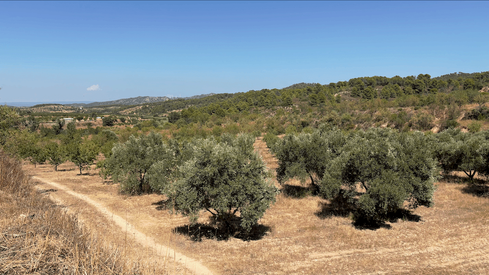 Section image