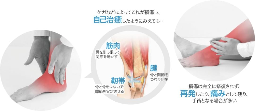 Our expert team will support your health. Provides treatment at the forefront of regenerative medicine Tokyo in is regeneration medicine specialty of complete reservation system clinic Our expert team will support your health. Provides treatment at the forefront of regenerative medicine Tokyo in is regeneration medicine specialty of complete reservation system clinic