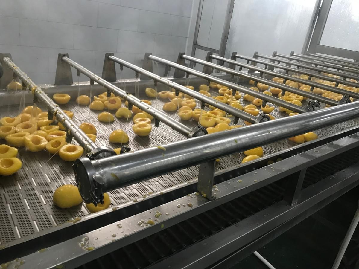 IQF Yellow Peaches Halves