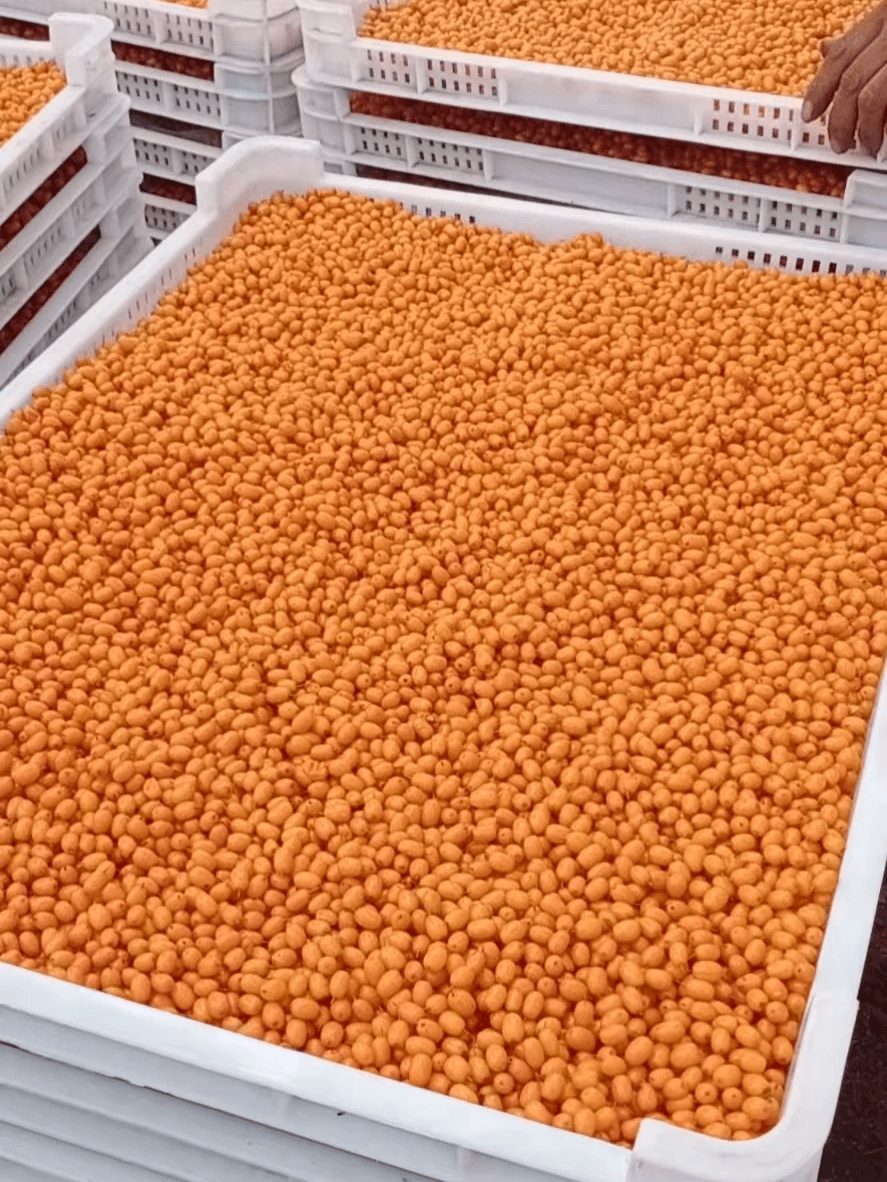 IQF Sea Buckthorn