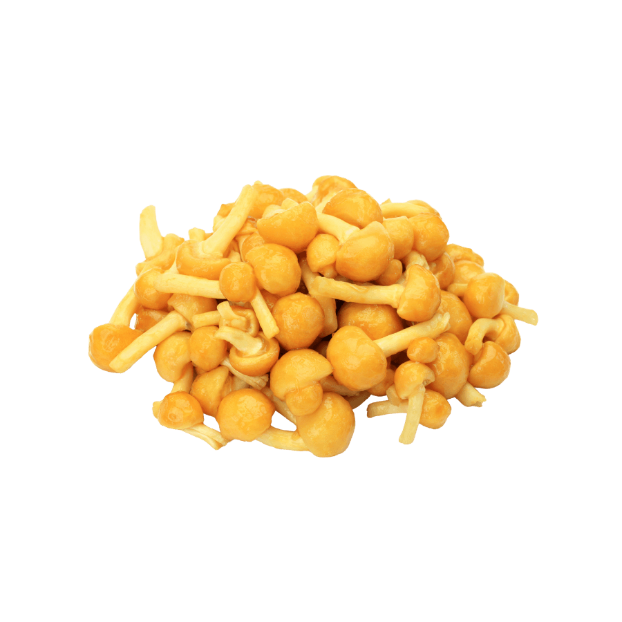 Click to get more info Click to get more info