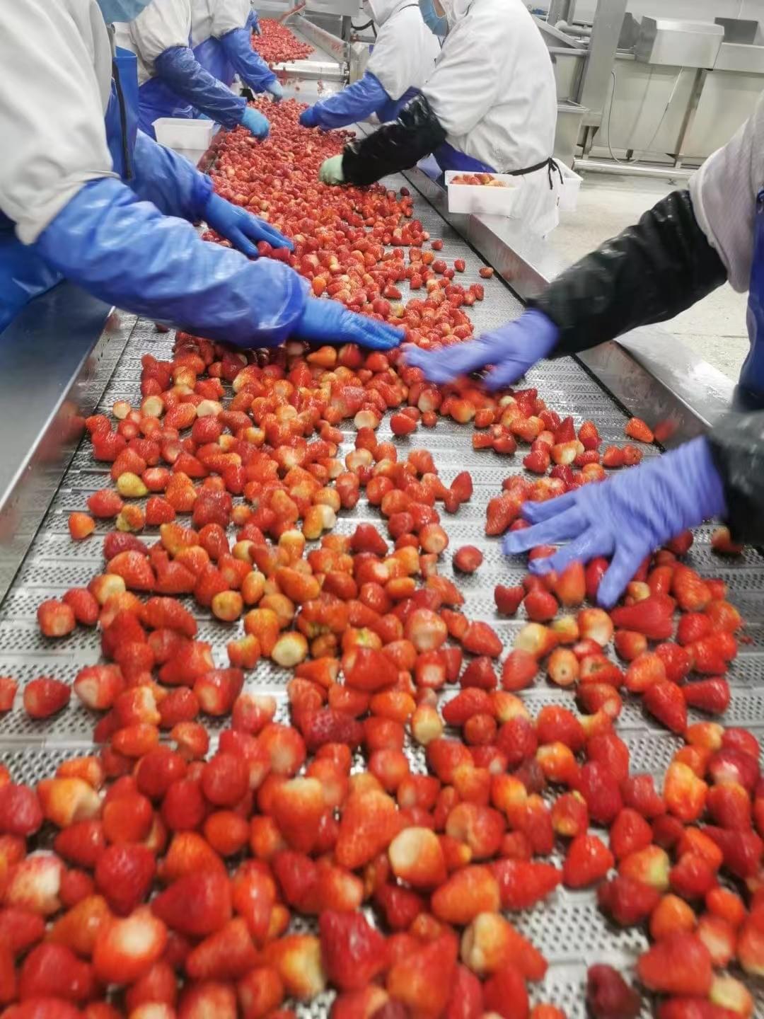 IQF Strawberries Grade A+B