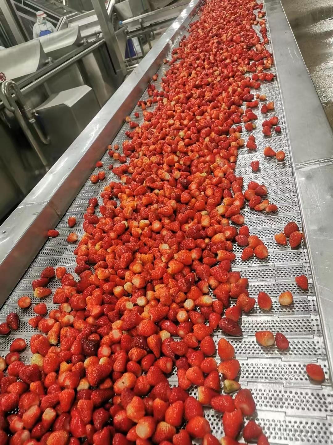 IQF Strawberries Grade A+B