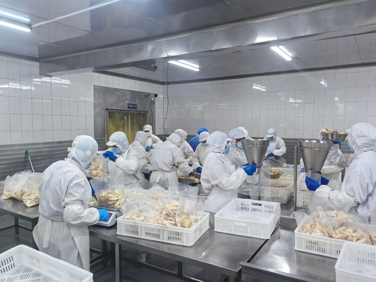 Frozen Wedge Cut Fries