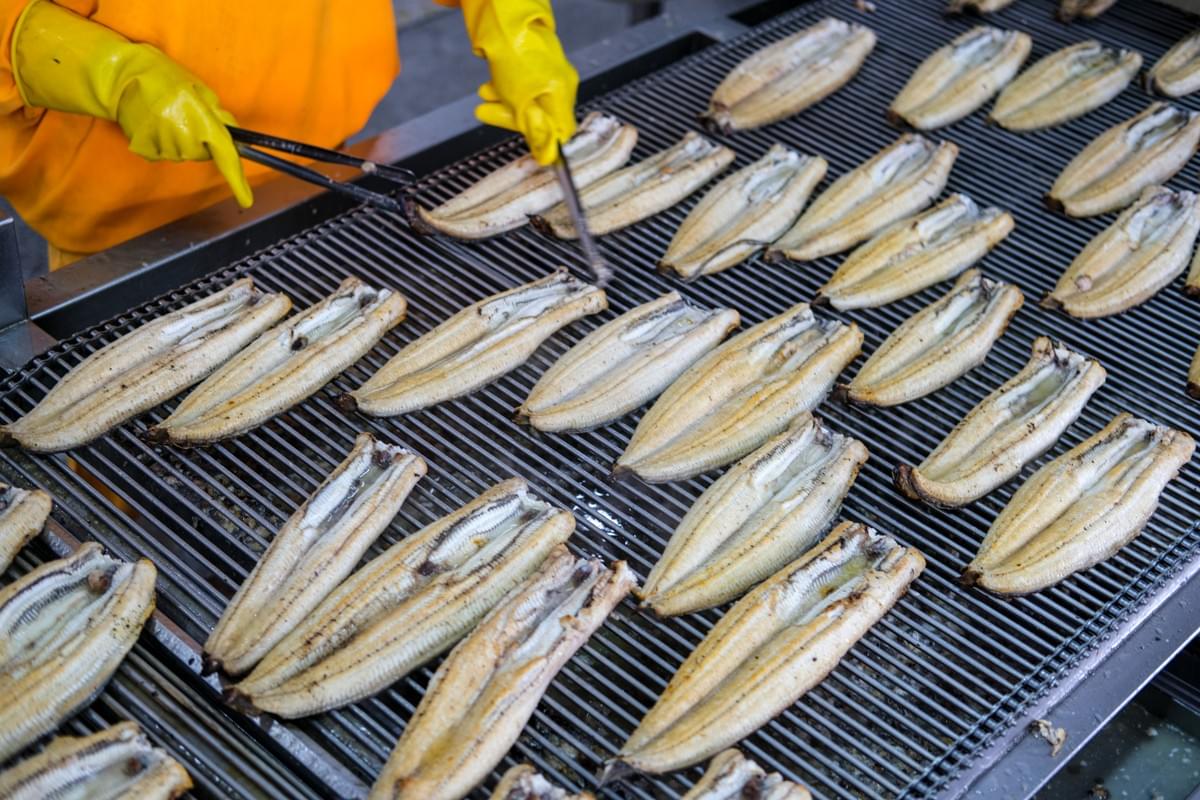 Frozen Japanese-Style Roasted Eel Supplier Frozen Japanese-Style Roasted Eel Supplier