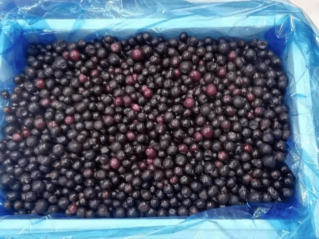 Bulk package of IQF Frozen Blueberries are prepared in the factory for exporting Bulk package of IQF Frozen Blueberries are prepared in the factory for exporting