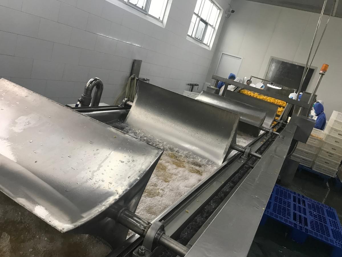 IQF Yellow Peaches Halves