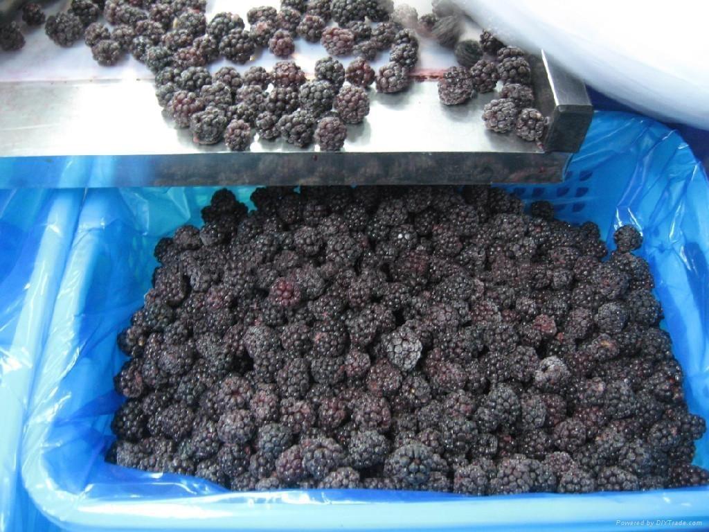 IQF Frozen Blackberries