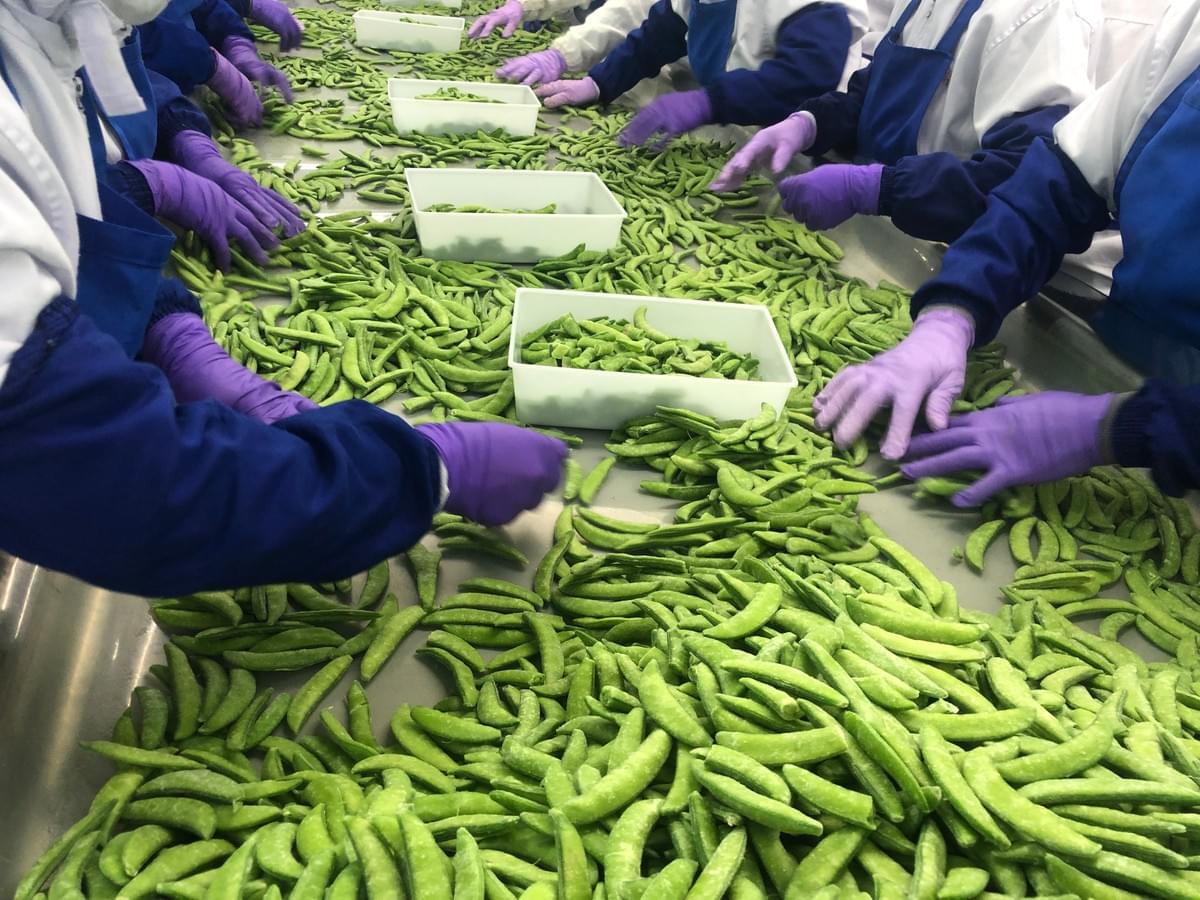 IQF Sugar Snap Peas