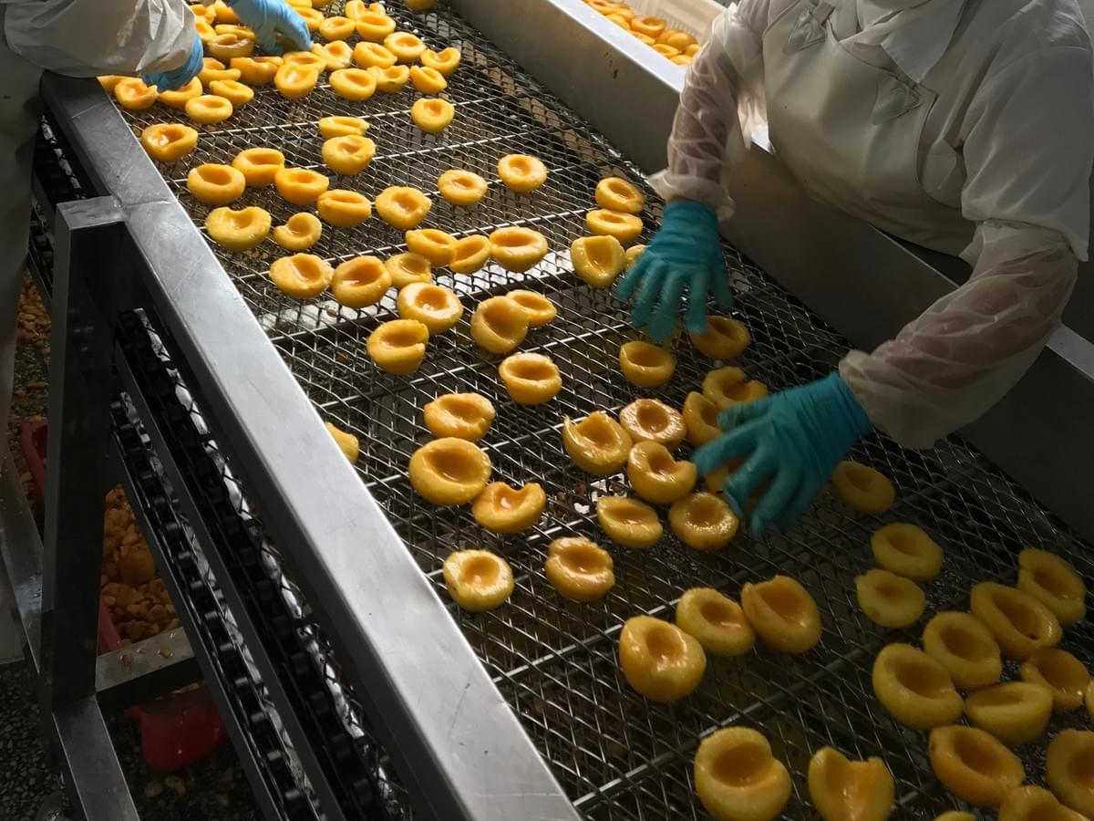 IQF Yellow Peaches Halves