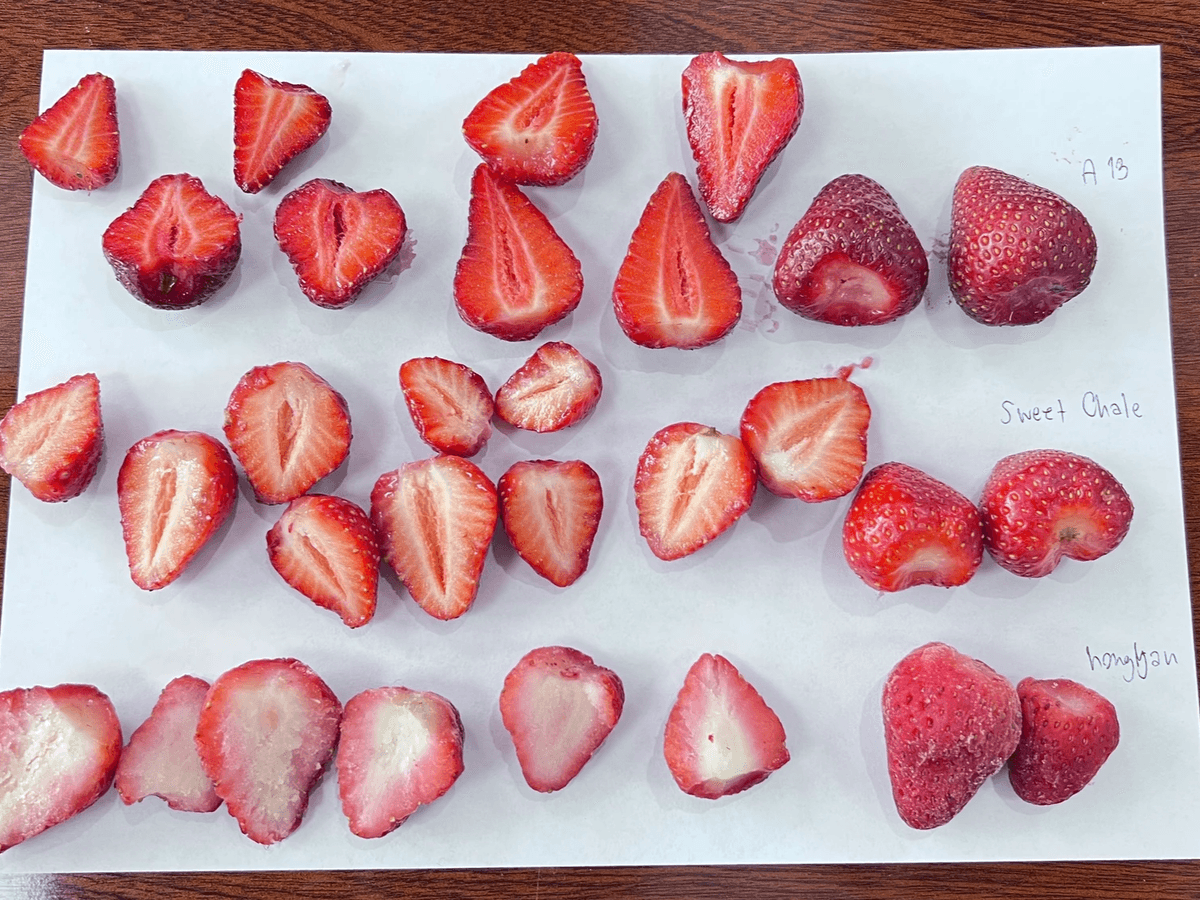 IQF Strawberries Sweet Charlie Variety