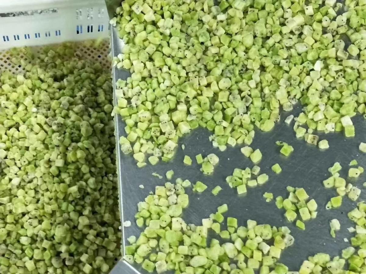 IQF Diced Kiwi
