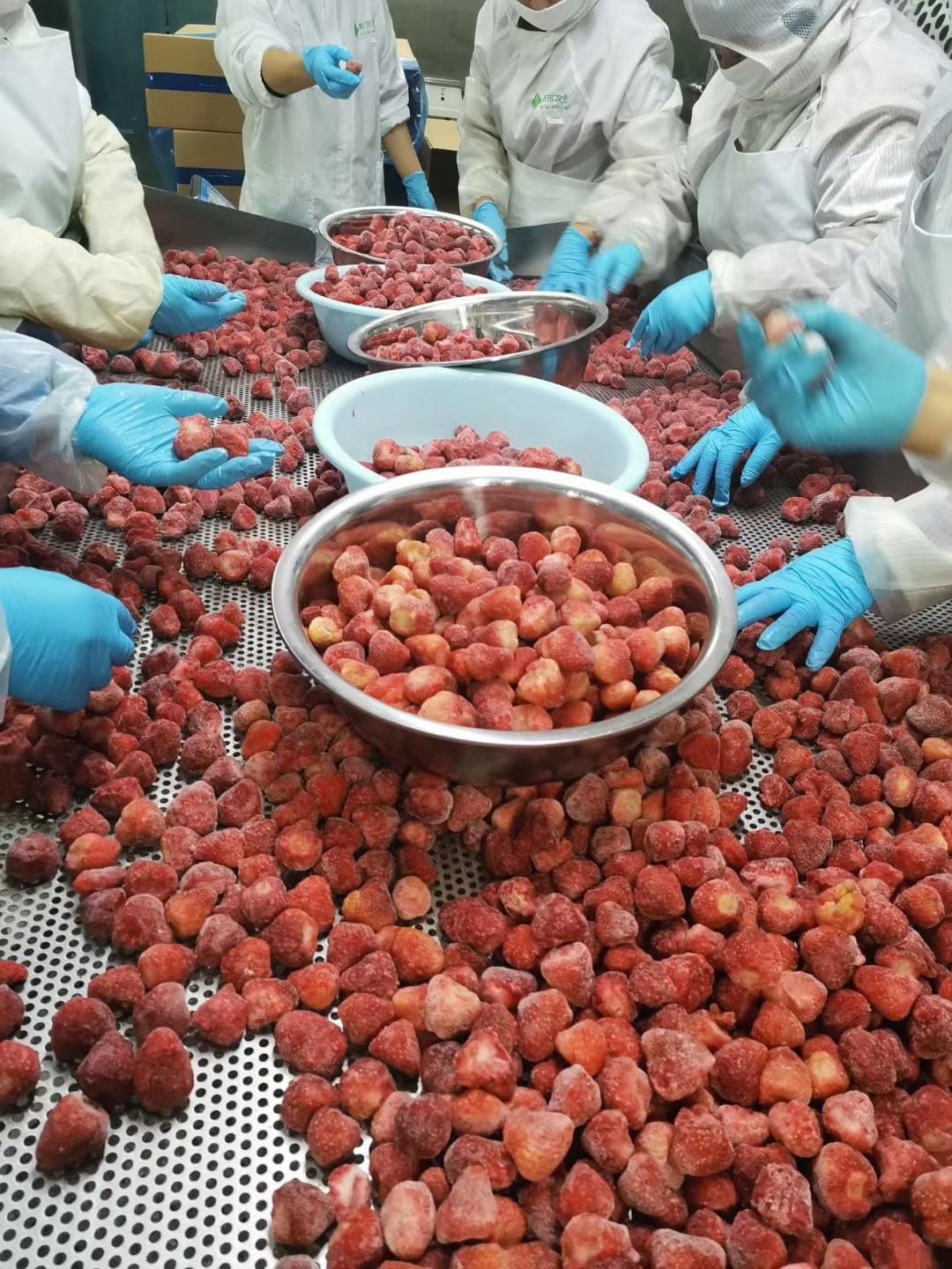IQF Frozen Strawberry Bulk Supply China IQF Frozen Strawberry Bulk Supply China
