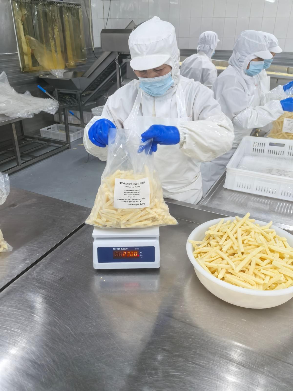 Frozen French Fries Manufacture Frozen French Fries Manufacture