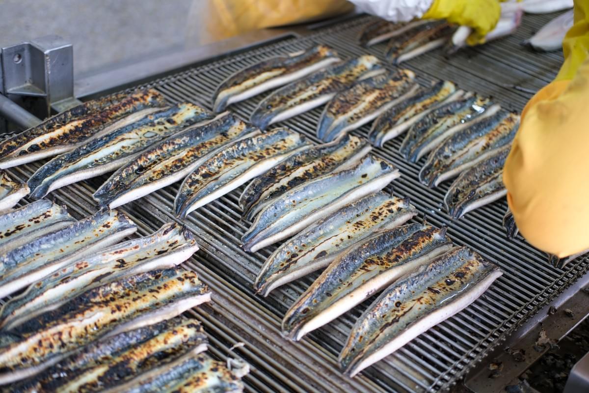 Frozen Japanese-Style Roasted Eel Wholesale Frozen Japanese-Style Roasted Eel Wholesale