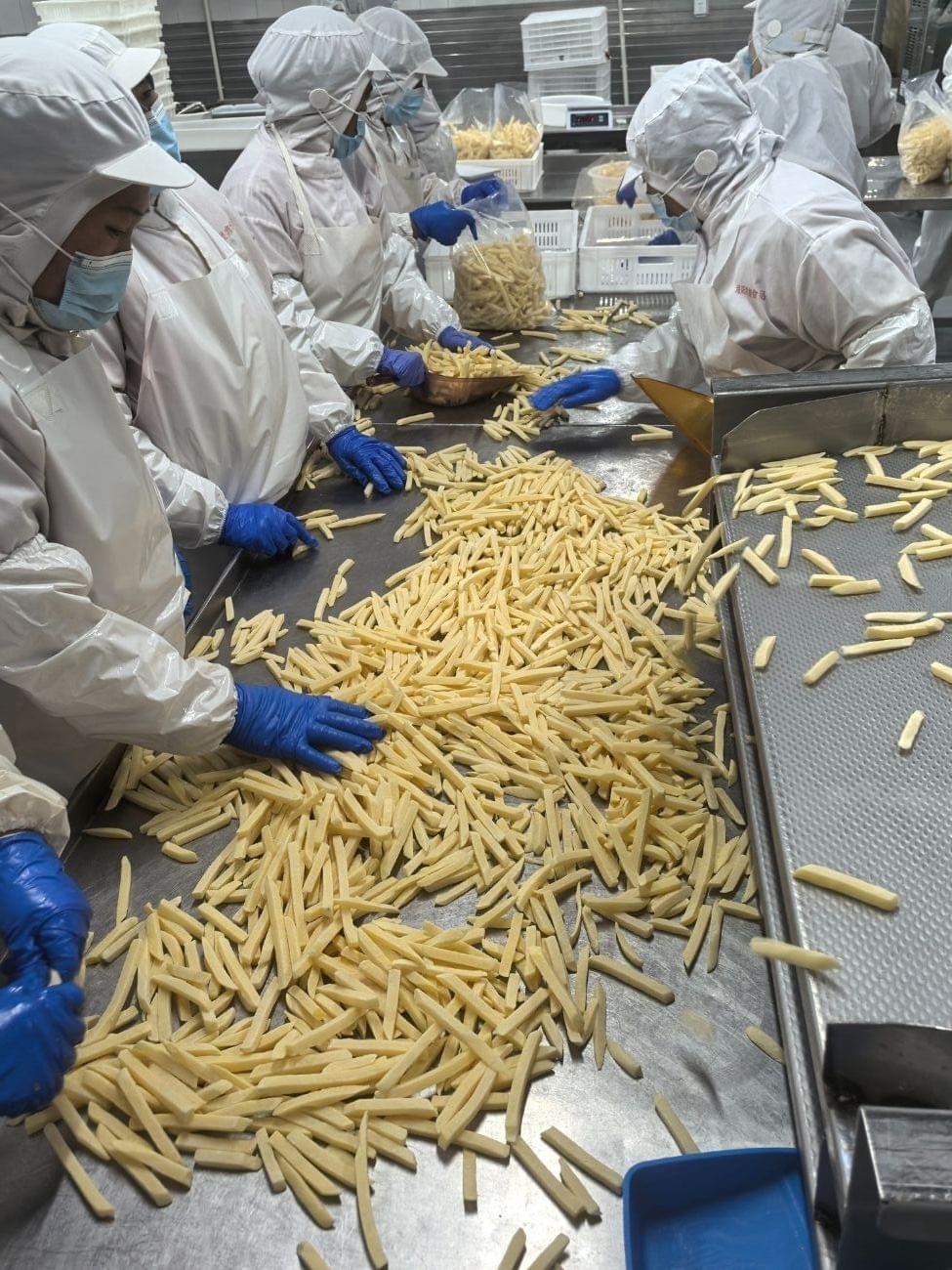 Frozen French Fries for Chain Restaurants Frozen French Fries for Chain Restaurants